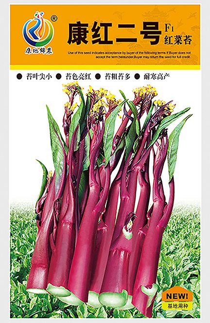 康紅二號(hào)